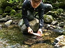 2007-07-03 157.JPG